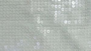 Branded Mint Green Sequins Tops