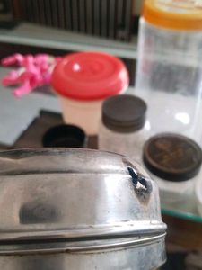 Kitchen Containers Multy Mix
