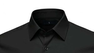Classic Black Long Sleeve Shirt