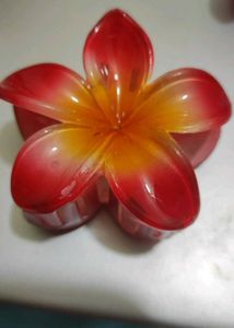 Colorful Flower Hair Clips Set Of 2