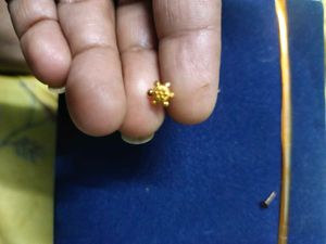 Gold Nose Pin