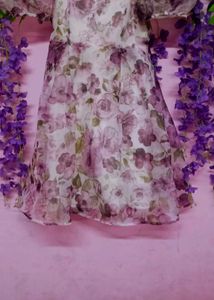 Beautiful Organza Frock