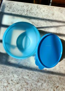 Tupperware Wonderlier Bowl
