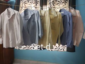 6 Shirts (Set D)