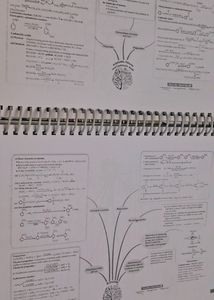 Oswall Class 12th Sample Paper