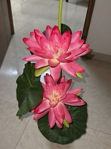 Beautiful Lotus Showpiece