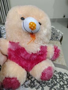 Cute Plush Teddy Bear