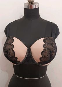 Padded Branded Bra 40E