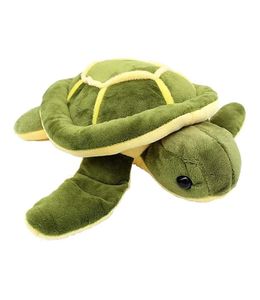 Turtle Plush Toy