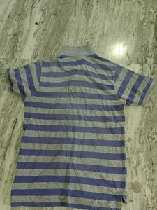 Striped Polo Tshirt