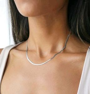 Silver Plated Snake Chain