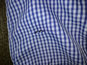 Blue Gingham Dress Shirt - PASSWORD