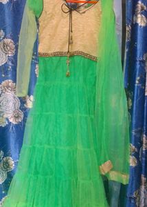 Long Designer Netted Party Wear Gown