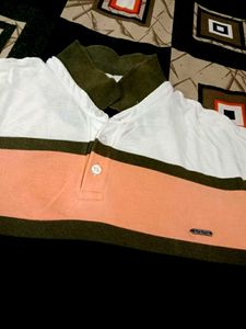 Striped Polo Shirt
