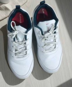 Campus White Casual Shoes in affordable price