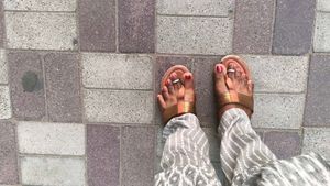 Brown Slipper