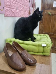 Formal Catwalk Brown Kitten Heels