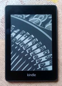 Amazon Kindle Paperwhite 10th Gen, 6" and 300 ppi high-resolution Display with Built-in-Light, WiFi (Black) + Flip Case Cover + Charging Type B Cable