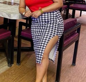 New Skirt With Tag Attached