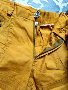 Lion Yellow Cotton Hot Pant