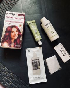 PARADYES GLOSSY HAIR TINT~BERRY PLUM (MINI PACK)