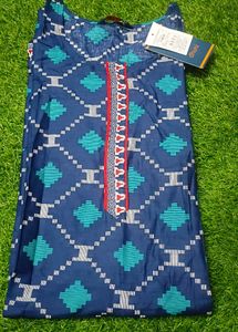 Dhunii Blue Printed Kurta