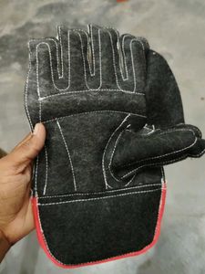Cricket Keeping Gloves