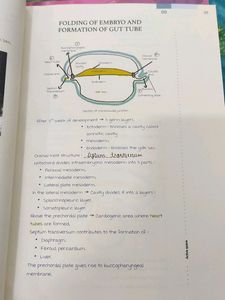 Anatomy Ed 6 Notes Of Marrow