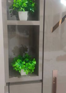 Artificial Flower Pot Only cash