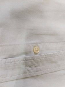 Low Price Polo Shirt