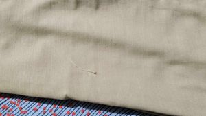 Kurta Set With Organza Dupatta