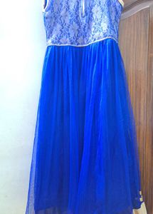 Blue &amp; Gold Embroidered Saree