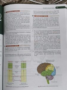 Textbook of Physiology - A.K. Jain, Vol. II