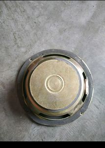Bass Speaker