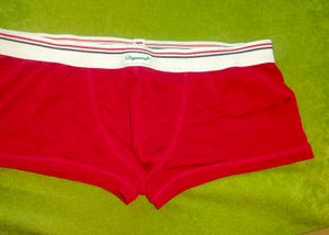 Dsquared2 Red Boxers
