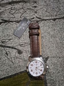 Brand New Tim Berto Watch In Brown Strap