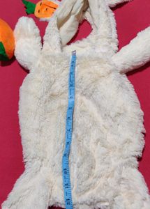 small dog and cat  Rabbit Dress