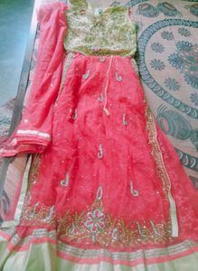 Embroidered Lehenga Choli Set