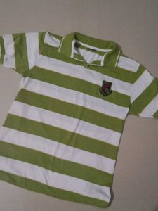 Striped Polo Shirt - Green & White