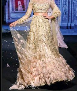 Feathered Lehenga Choli