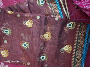 Party Wear Net Saree