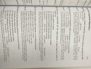 NCERT Exemplar Science X