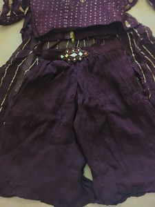 Elegant Ethnic Palazzo Blouse Set