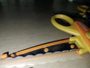 scissors: 2 brand:from flipkart use:for assignment purpose for for craft