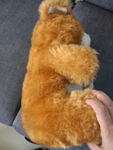 Teddy Bear Soft Toys