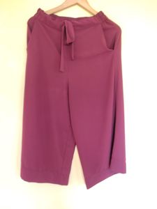Plazzo Pant