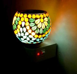 Electric Kapoor Dani