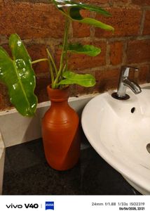 Lifestyle Pot