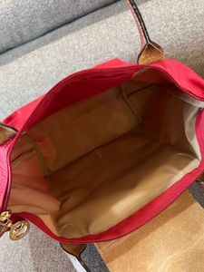 LONGCHAMP 🇫🇷 Le Pliage Small Hand Bag