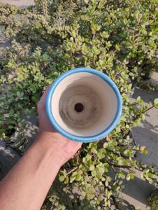 Ceramic Planter For Your Plants